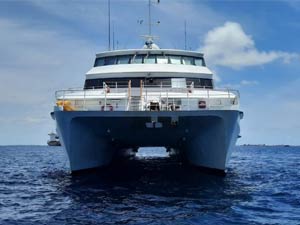 Ship Support Marine and cargo survey in Maldives