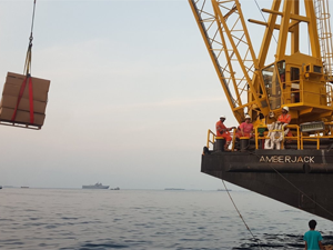 ship cranes Marine and cargo survey in Maldives